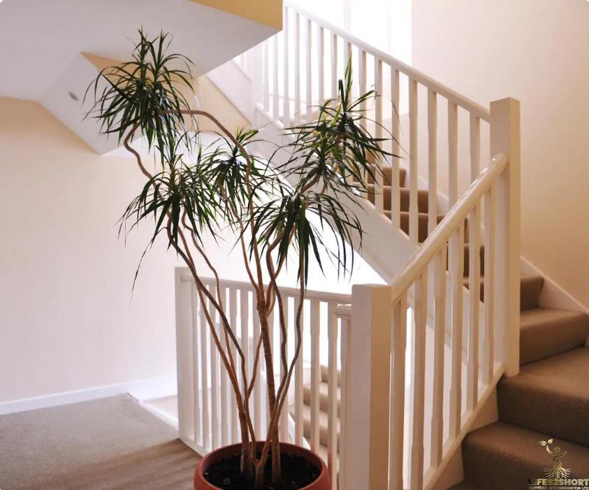 Smythen St, 2 Bed Apartment With Balcony Exeter Ngoại thất bức ảnh